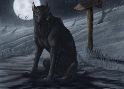 Черный пёс. Иллюстрация Бринн Мезени