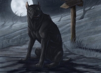Черный пёс. Иллюстрация Бринн Мезени