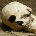 Череп циклопа. Якобы археологическая находка