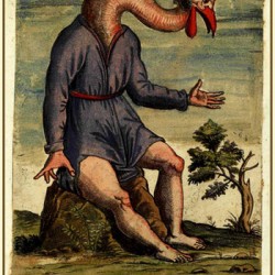 Человек-журавль на иллюстрации Улисса Альдрованди