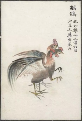 Чанфу. Цветная перерисовка иллюстрации "Каталога гор и морей", период династии Цин