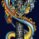 Королевский дракон. Иллюстрация