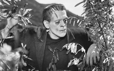 Борис Карлофф в роли чудовища Франкенштейна. Кадр из фильма "Франкенштейн" (1931)