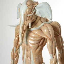Ганеша. Анатомическая скульптура Масао Киношиты