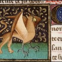 Амьенский грифон. Изображение из средневекового бестиария