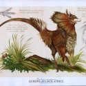 Европейский кокатрис. Рисунок Tony Di Terlizzi