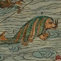 Морское чудовище (возможно, хафгуфа) на морской карте Олафа Магнуса (Olaus Magnus)