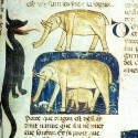 Дракон и слон (Рукопись Моргановской библиотеки Manuscript. M.459, fol.21r)