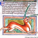 Эал (Рукопись Моргановской библиотеки в Нью-Йорке Manuscript. M.81, fol. 39r.)