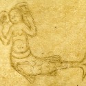 Сирена (Рукопись Моргановской библиотеки MS. M. 0814, fol. 61v.)