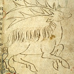 Парандр (Рукопись Моргановской библиотеки в Нью-Йорке Manuscript. M.890, fol. 6r.)