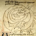 Амфисбена (Рукопись Моргановской библиотеки в Нью-Йорке Manuscript. M.890, fol. 17r.)
