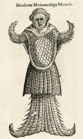 Морской монах. Иллюстрация Улисса Альдрованди из "Monstrorum historia"