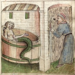 Мелюзина. Изображение из средневекового манускрипта