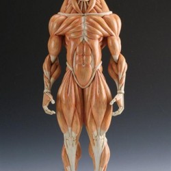 Минотавр. Анатомическая скульптура от Масао Киношиты