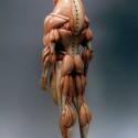 Минотавр. Анатомическая скульптура от Масао Киношиты (вид сзади)