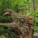 Дриада, мужской вариант. Скульптура Бруно Торфса