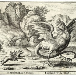 Поединок хорька с василиском. Гравюра Вацлава Холлара, XVII век