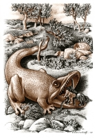 Северный дракон. Иллюстрация Гюнтера-Фридриха Рейндорфа к сказке Ф.Крейцвальда