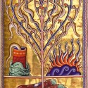 Саламандры из Абердинского бестиария, конец XII века