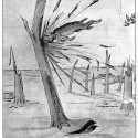 Кот-расщепенец. Иллюстрация Кёр Дю Буа из книги "Устрашающие твари промысловых лесов"