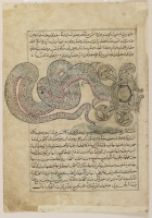 Змей-дракон аль-Таннин. Иллюстрация к трактату Аль-Казвини "Чудеса создания и чудеса существ и странных существующих вещей"