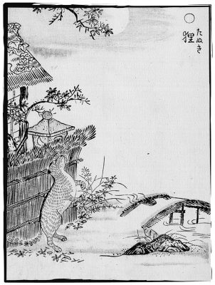 Тануки. Иллюстрация Ториямы Сэкиэна