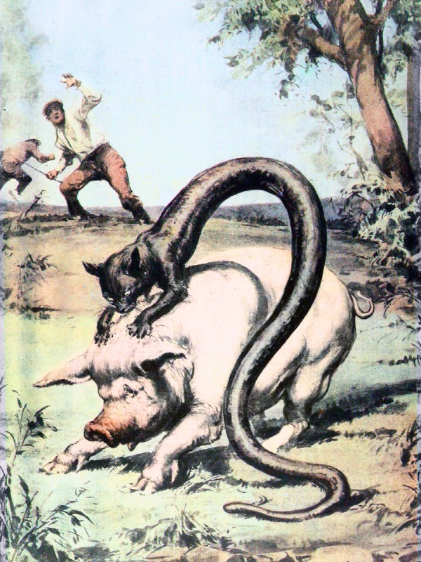 tatzelwurm.preview.jpg