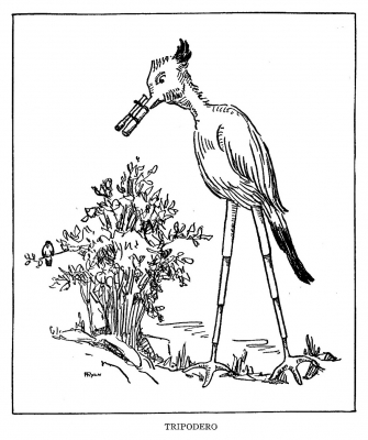 Триподеро. Иллюстрация Маргарет Рэмси Трайон из книги "Устрашающие твари" (1939)