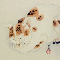 Спящая микэнэко. Автор рисунка Каванабэ Кёсай