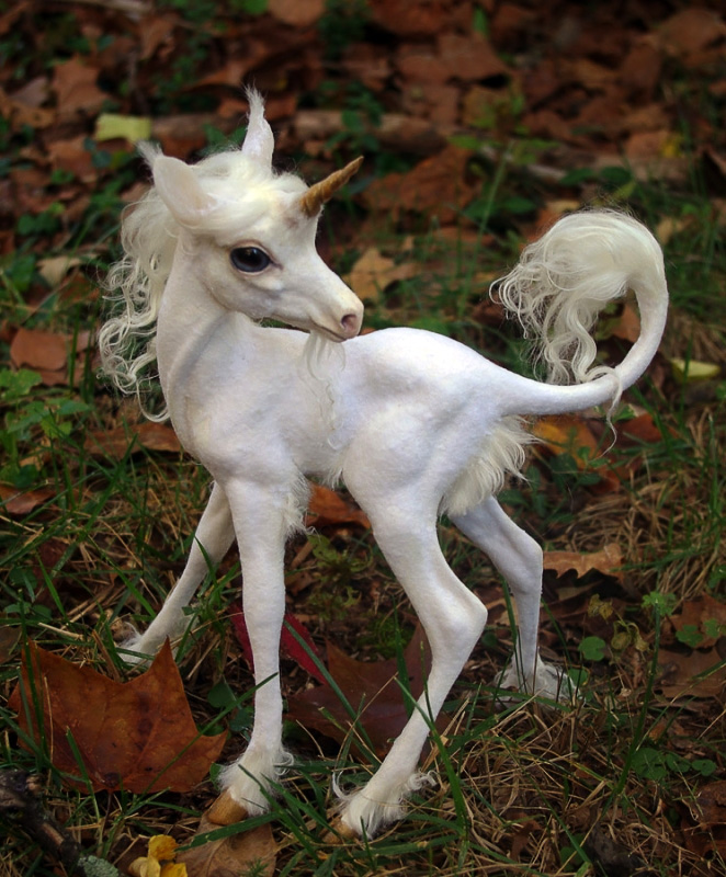 http://www.bestiary.us/files/images/unicorn-baby.jpg