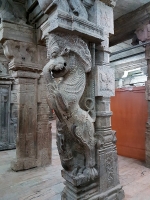 Яли, стоящий на макаре. Изваяние в Зале Тысячи Колонн в Храм Минакши в городе Мадурай на территории индийского штата Тамилнад