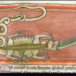 Гидрус проникает в крокодила (Рукопись Британской библиотеки MS Harley 4751, fol. 62v)