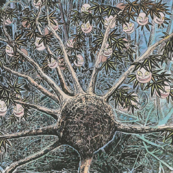 Дерево дзиммэндзю в интерпретации Шигеру Мизуки