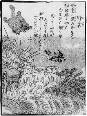 Нобусума. Иллюстрация Ториямы Сэкиэна