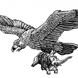 Птица Рух. Иллюстрация Мерли Инсинга