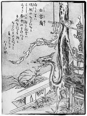 Сиро-унэри. Иллюстрация Ториямы Сэкиэна