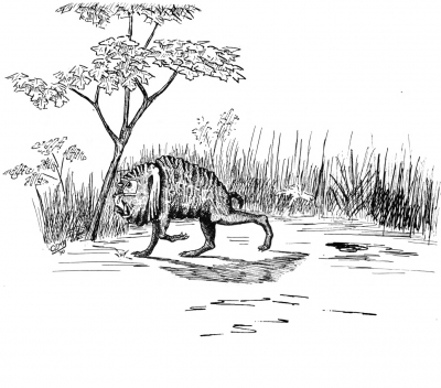 Сквонк. Иллюстрация Кёр Дю Буа из книги "Устрашающие твари промысловых лесов"