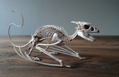 Реконструкция скелета виверны. 3D-принт
