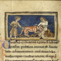 Охотники убивают единорога. Рукопись Бодлеянской библиотеки (MS. Bodley 533, fol. 003r.)