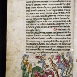 Аспид и другие змеи. (Рукопись Бодлеянской библиотеки. MS. Bodley 602, fol. 024v)