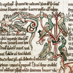 Дерево перидексион. Дракон поедает голубя. Рукопись Бодлеянской библиотеки (MS. Douce 167, fol.010r.)