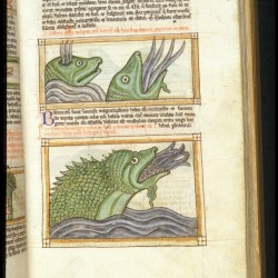 Киты. Рукопись Британской библиотеки (MS Harley 3244, fol. 65r.)