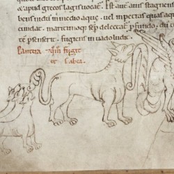 Пантера и дракон. Рукопись Бодлеянской библиотеки (MS Laud. misc.247, fol.154v.)