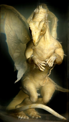 Заспиртованный дракончик, найденный в графстве Оксфордшир на юге Англии