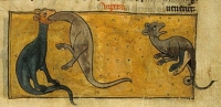 Гадюка (Рукопись Британской библиотеки Sloane 278, fol. 51r)