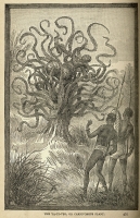 Дерево-каннибал Я-Те-Вео. Иллюстрация из книги "Море и суша" Уильяма Бьюэла