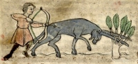 Анталоп. Иллюстрация из рукописи Французской Национальной библиотеки (Lat.6838 B)