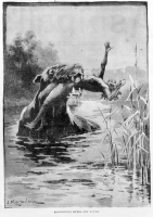 Буньип. Иллюстрация из "Illustrated Australian news" (1890)