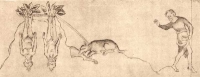 Выкопка мандрагор. Иллюстрация из Псалтири Королевы Мэри